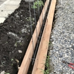 Thumbnail of post image 190