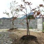 Thumbnail of post image 083