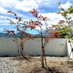 Thumbnail of post image 046